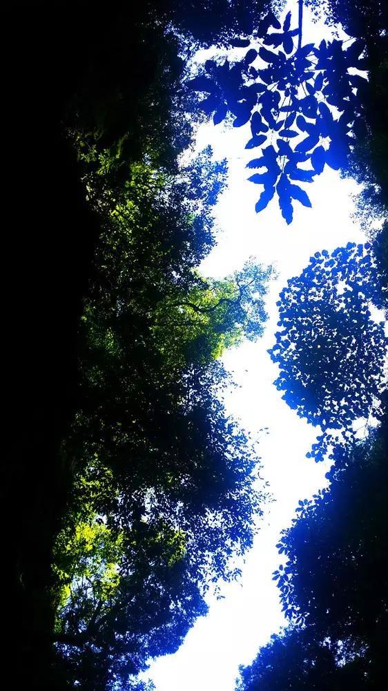 碎金鱼这篇小古文患的意思？游戏画面